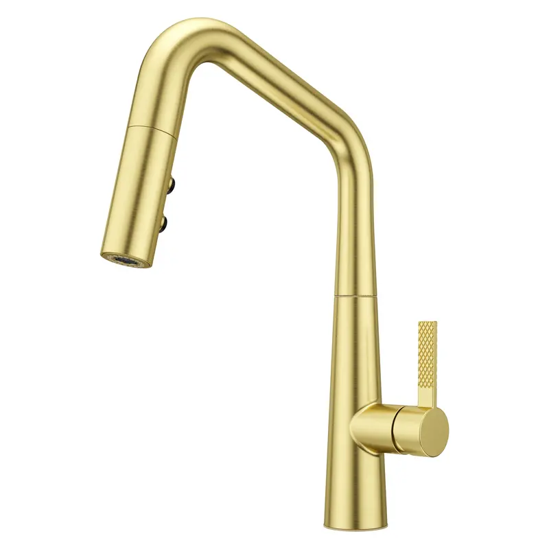 Asari Single-Handle Kitchen Faucet In Brushed Gold 1