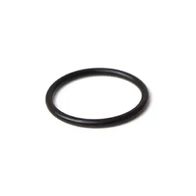 Astoria Group Filter O-Ring – Silicone Sealing Ring As 12303 1