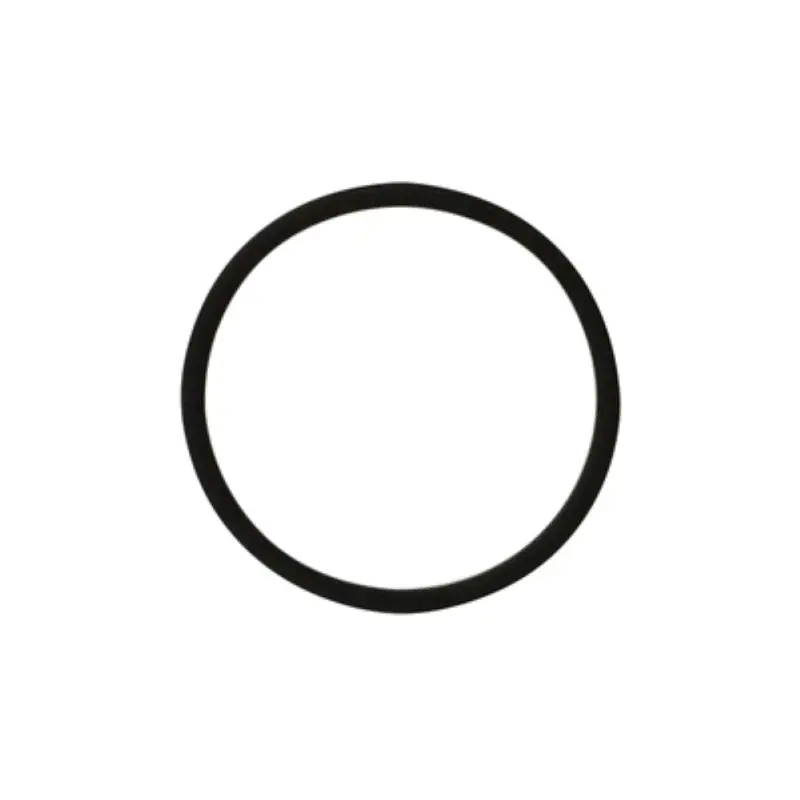 Be 7496020 Flowmeter Sealing O-Ring For Bezzera Espresso Systems 1