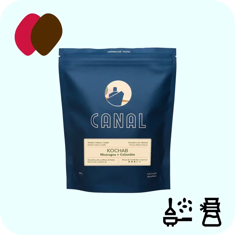 Canal Kochab Whole Bean Coffee – Single-Origin Ethiopian Light Roast 1