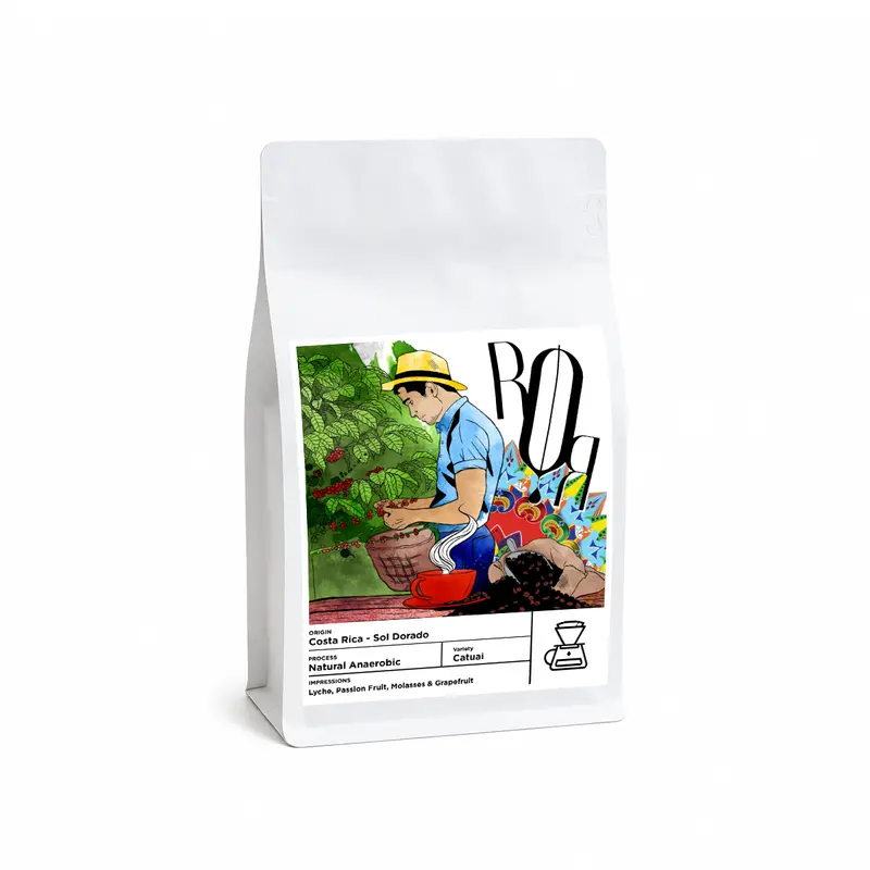 Costa Rica Sol Dorado Whole Bean Coffee – 250G 1