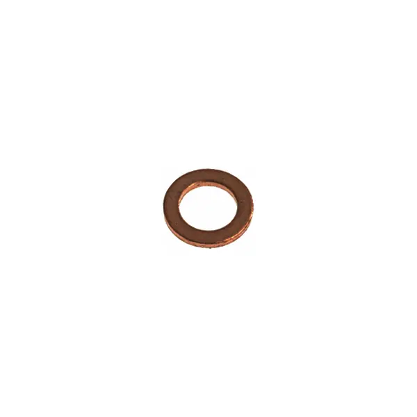 E61 Copper Flat Gasket (Ø10×6×1 Mm) For Clean-Out Screw Seal 1