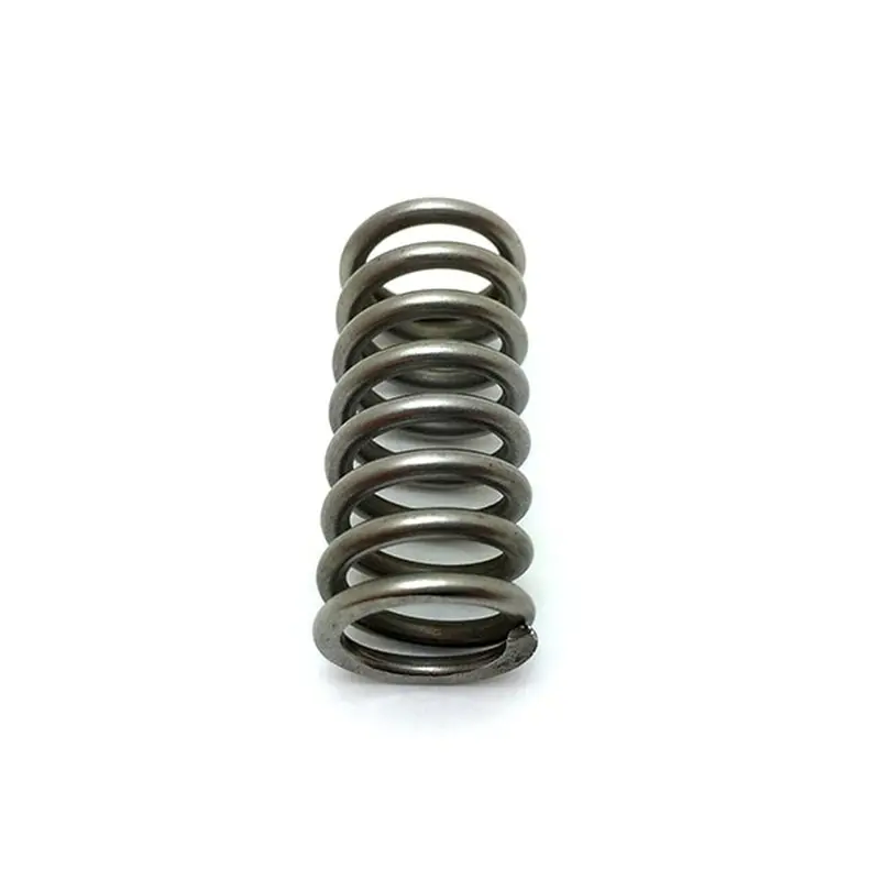E61 Replacement Spring For Espresso Group Valve Mechanism 1