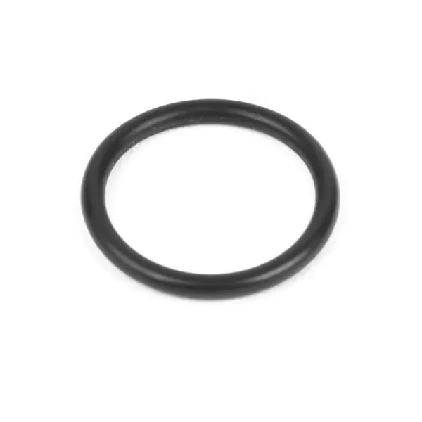 Ecm P6070.4 Valve O-Ring Seal – High-Performance Replacement 1