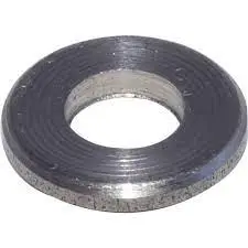 Elastomer Washers For Water/Steam Valves (5261801) 1