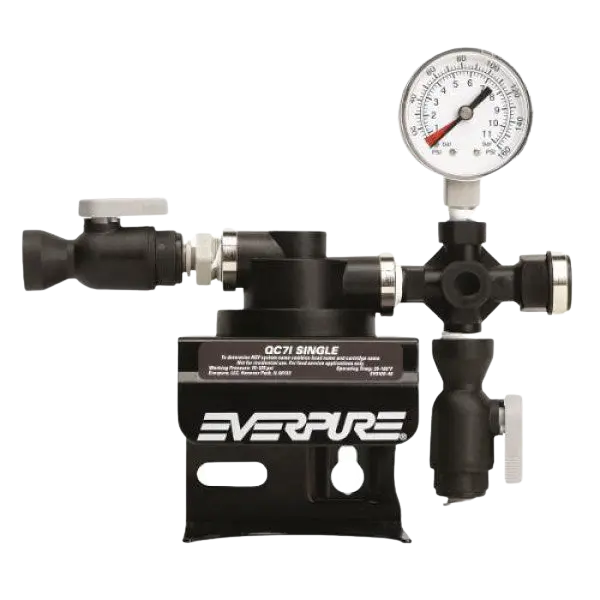 Everpure Qc71 Ev9272-41 Single-Filter Manifold – High-Flow Commercial Setup 1