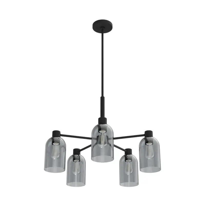 Hunter Lochemeade 5-Light Chandelier – Natural Iron Industrial-Style Fixture 1