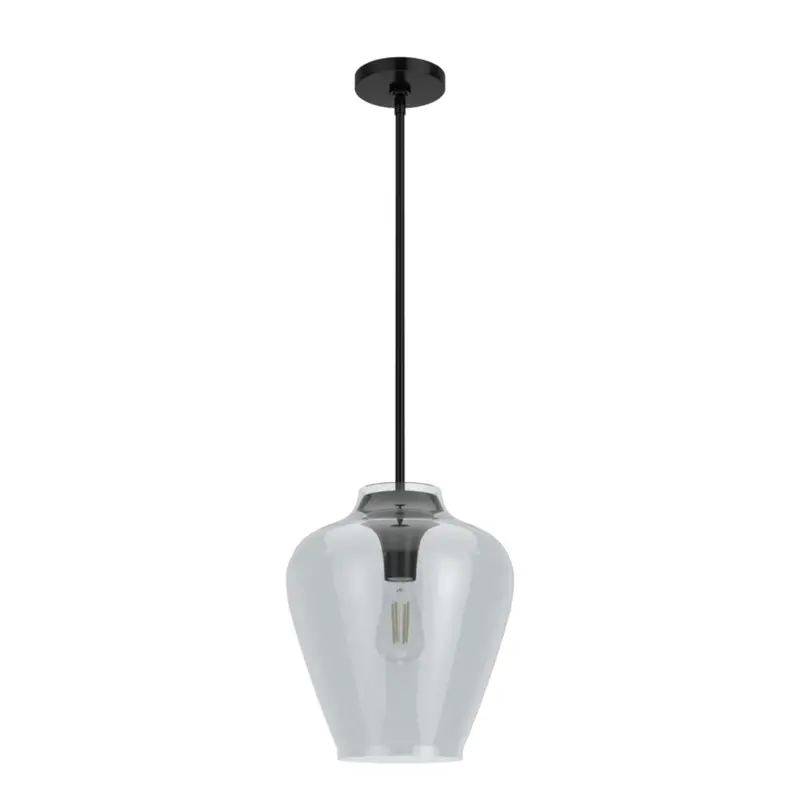 Hunter Vidria Single-Light Matte Black Pendant Light 1
