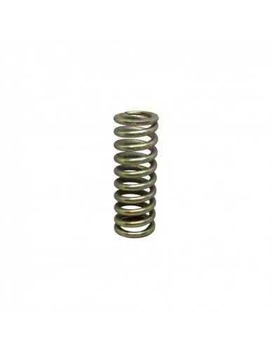 Iz 07133 Izzo Group Piston Internal Compression Spring 1
