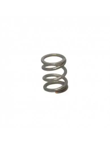 Iz 07187 Izzo Steam/Hw Valve Front Compression Spring 1