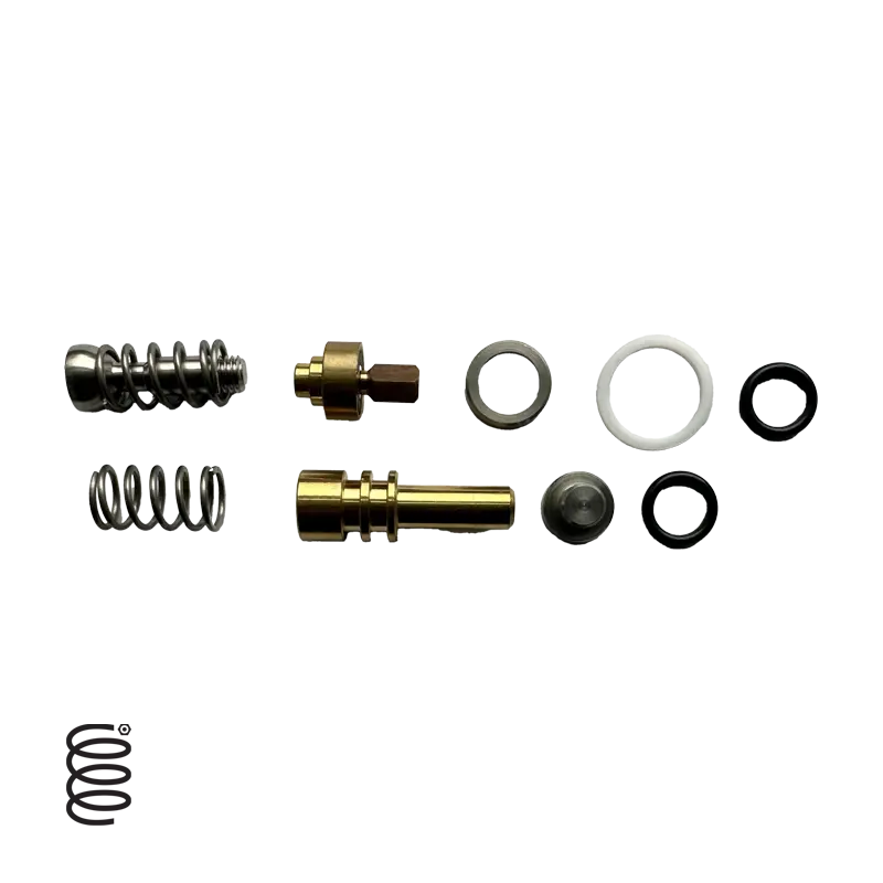 La Marzocco Steam Valve Rebuild Kit For Gs3 Models 1