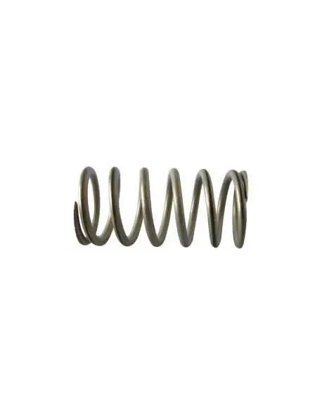 La Spaziale Sp-223 Steam Valve Compression Spring 1