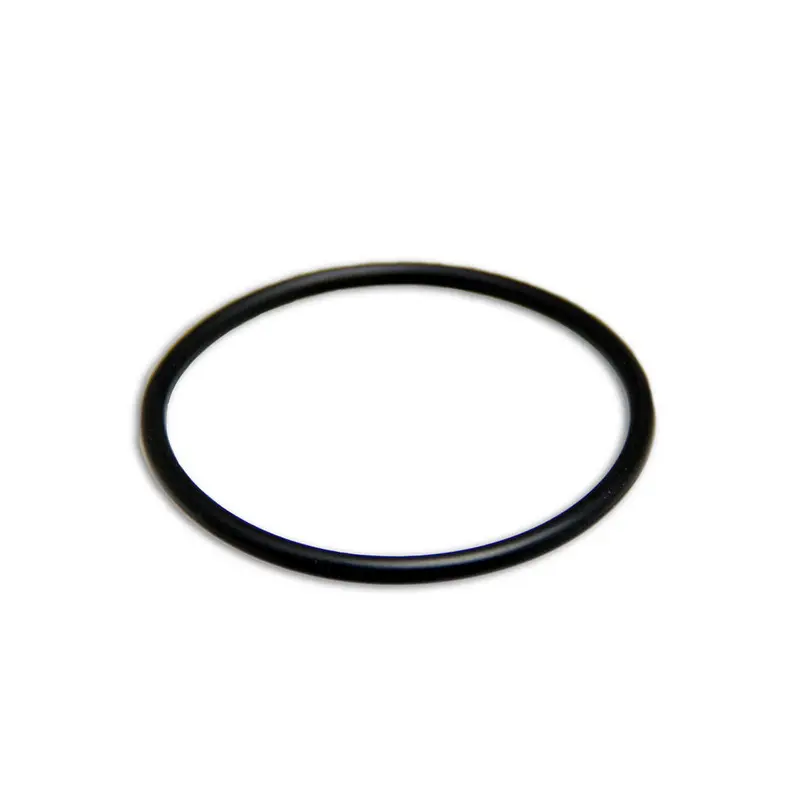 La Spaziale Sp 2418 Heating Element O-Ring — Replacement Seal 1