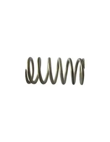 La Spaziale Sp-8693 Steam Valve Return Spring 1
