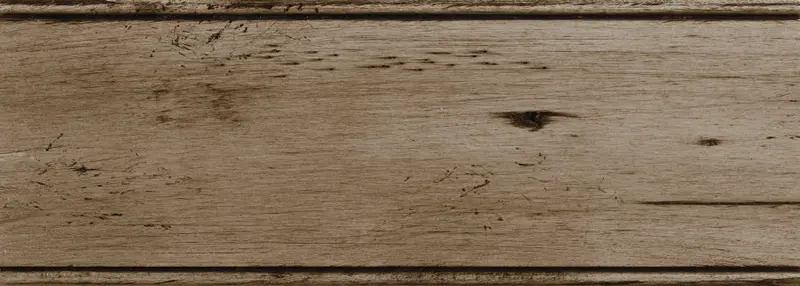 Peppered Appaloosa Wall Paint Finish 1
