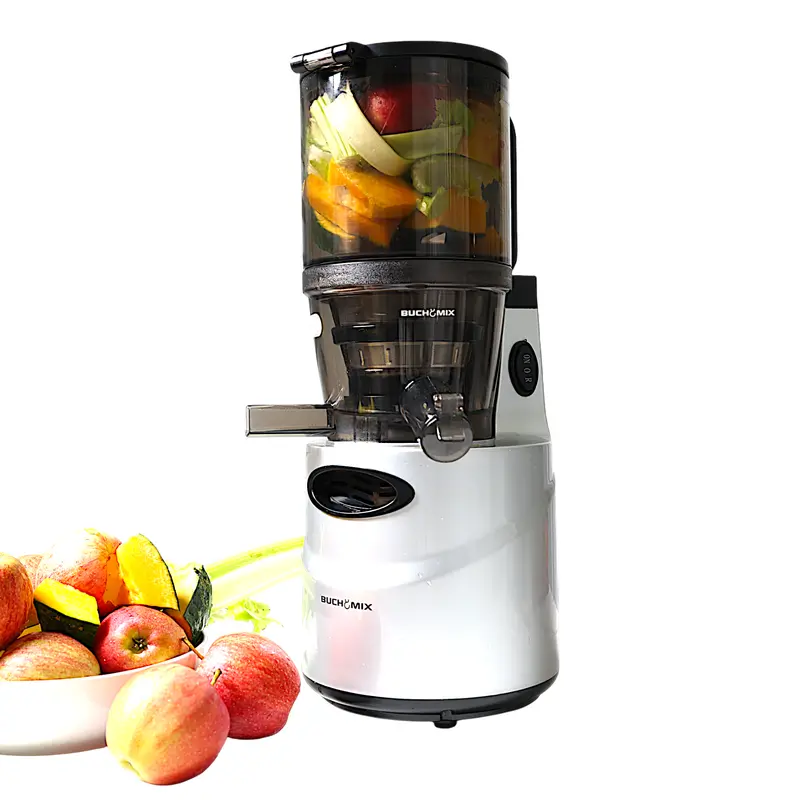 Professional Heavy-Duty Hands-Free Masticating Slow Juicer 1