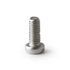 Rancilio Brew Screen Retaining Screw (Part No. R 25124007) 1