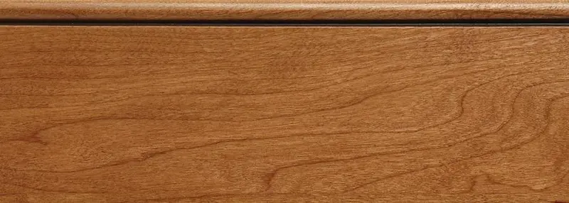 Sandalwood Burnt Sienna Highlight 1