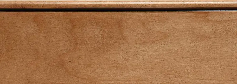 Sandalwood Burnt Sienna Wall Highlight 1