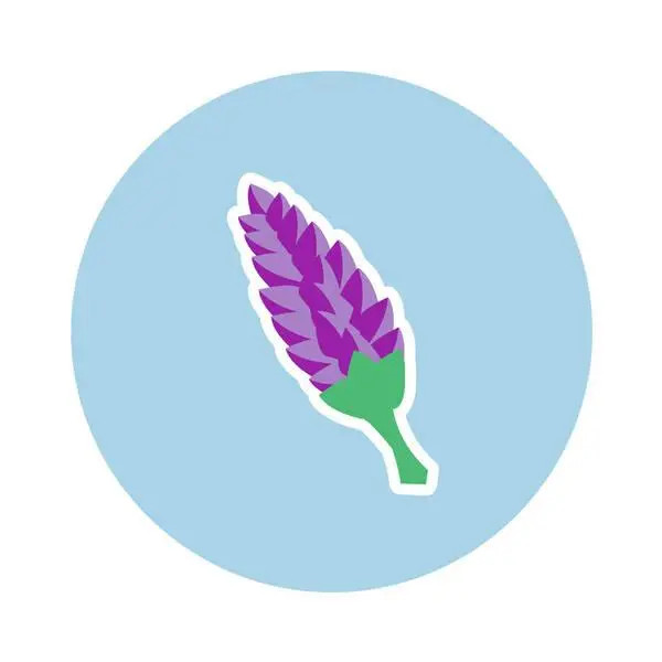 Scentiments Lavender Aromatherapy Scented Sachet 1