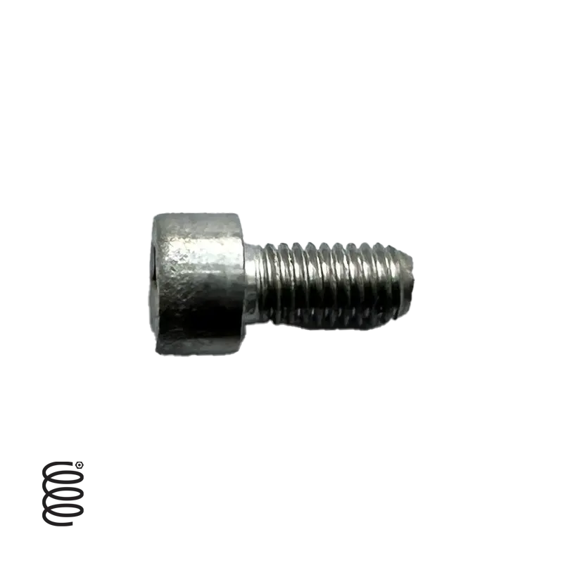 Stainless Steel M5×10 Socket Cap Screw – Lz I.1.005 1